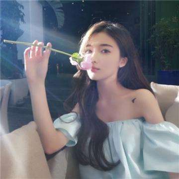 崩坏物语游戏